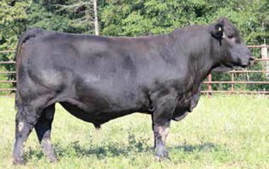 Lot 11 - 913U TG 5136D ET